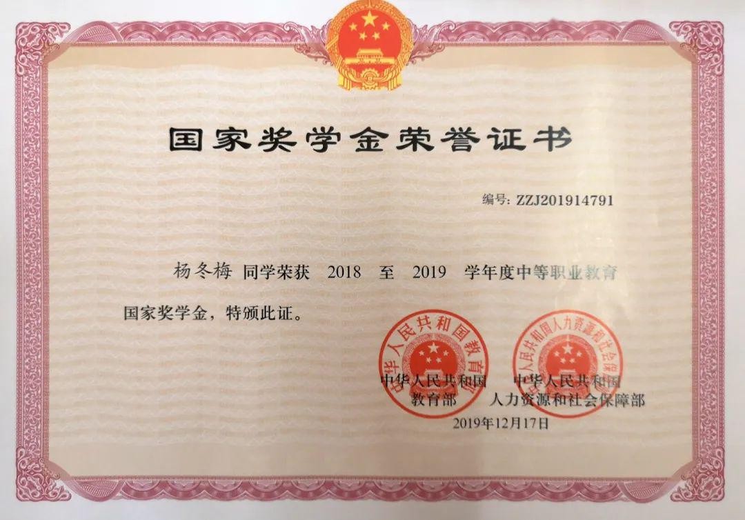 石家庄高效证件服务